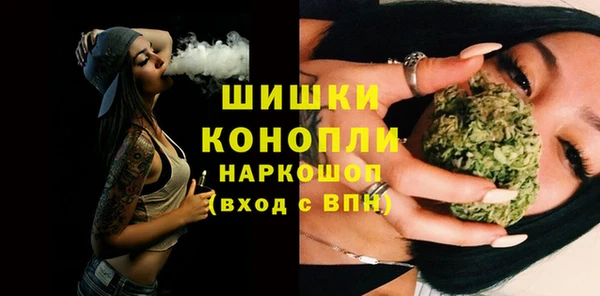 гашик Новозыбков