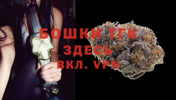 твердый Новодвинск