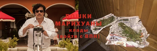 твердый Новодвинск