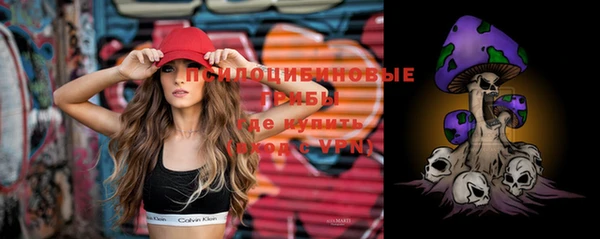 твердый Новодвинск