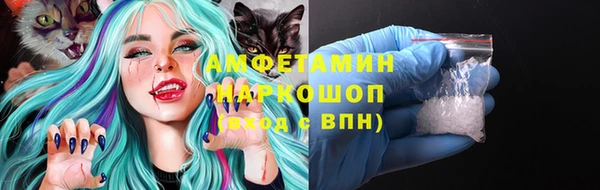 твердый Новодвинск
