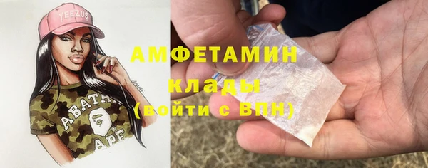 твердый Новодвинск