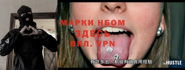 твердый Новодвинск