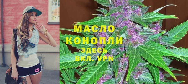 твердый Новодвинск