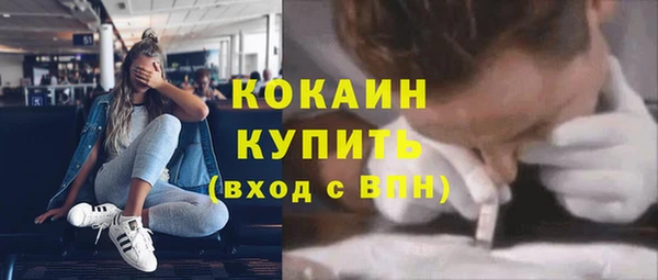 твердый Новодвинск