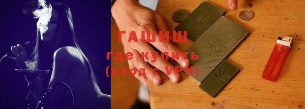 гашик Новозыбков