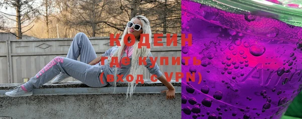 гашик Новозыбков