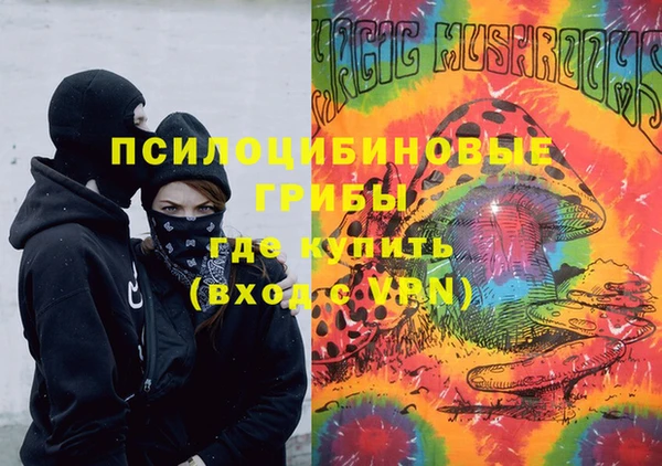 гашик Новозыбков
