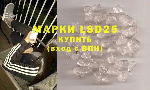 гашик Новозыбков