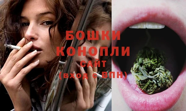 гашик Новозыбков