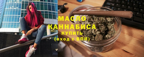 гашик Новозыбков