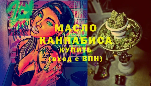 гашик Новозыбков