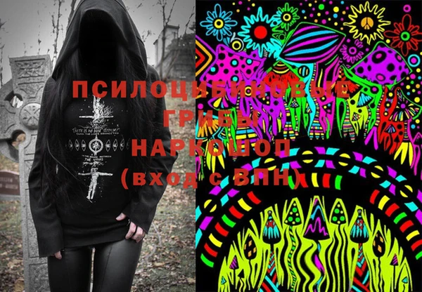 твердый Новодвинск