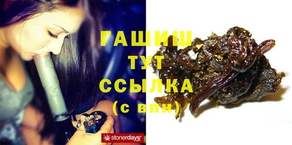 гашик Новозыбков