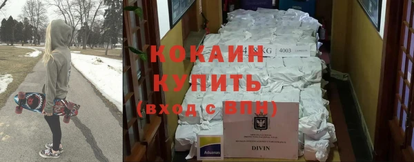 гашик Новозыбков