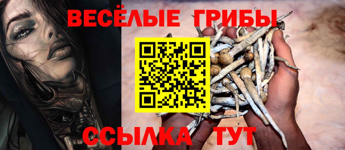 Галлюциногенные грибы Magic Shrooms  Вход с VPN  Сорочинск 